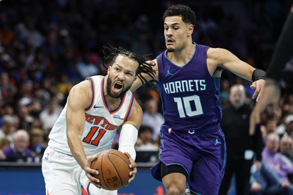 他们会在休 他们会在休